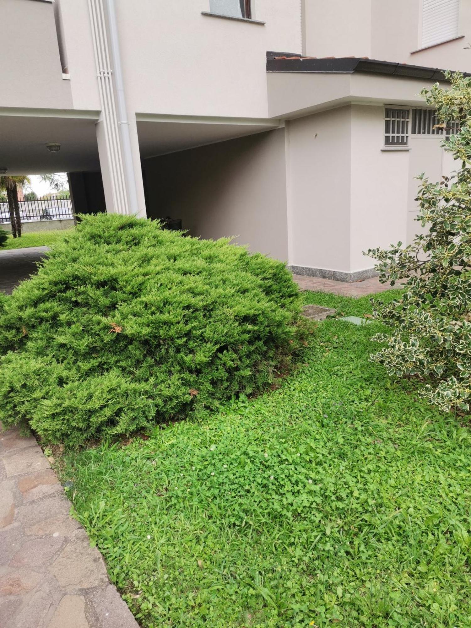 B&B Busto Garolfo ภายนอก รูปภาพ